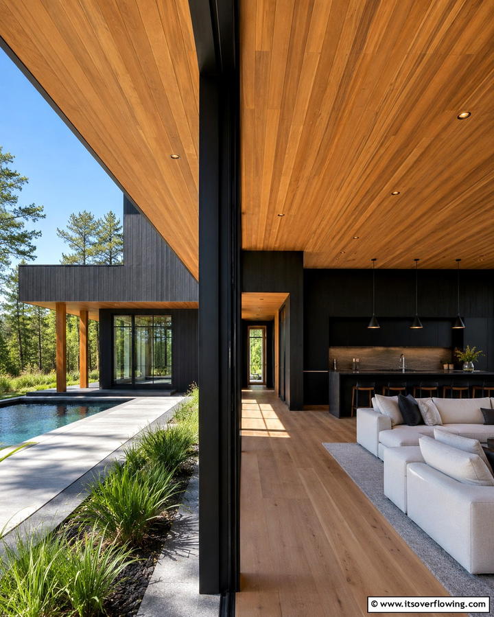 Ebony for Timeless Elegance - 25 Paint Colors for a Modern Black House With Cedar Accents