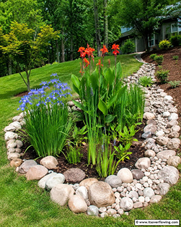 Eco Friendly Rain Garden - 30 Florida Backyard Ideas for Tropical Outdoor Living