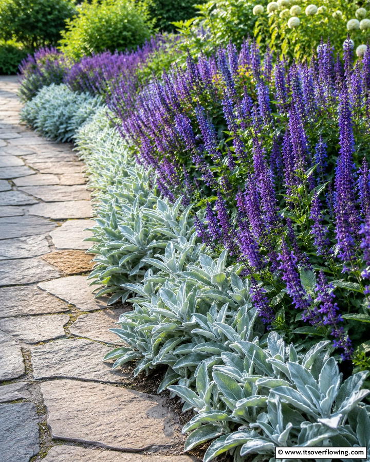 Edging Plants for a Soft Border - 25 Low Maintenance Garden Border Ideas for Easy Landscaping