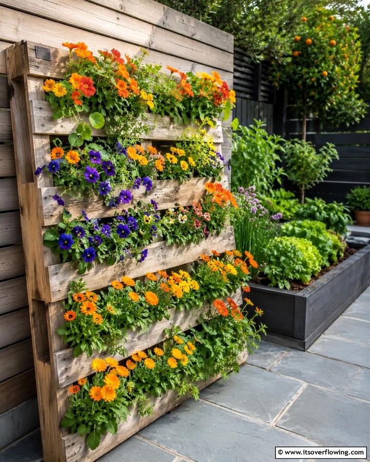 Edible Flower Pallet Garden - 25 Vertical Pallet Garden Ideas for Urban Spaces