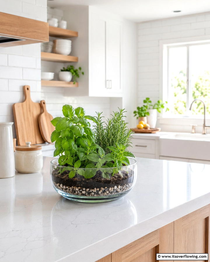 Edible Herb Terrarium - 30 Creative Terrarium Ideas for Indoor Gardening Enthusiasts