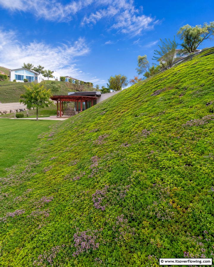 Erosion Control with Groundcovers - 30 Hillside Landscaping Ideas for Sloped Yards
