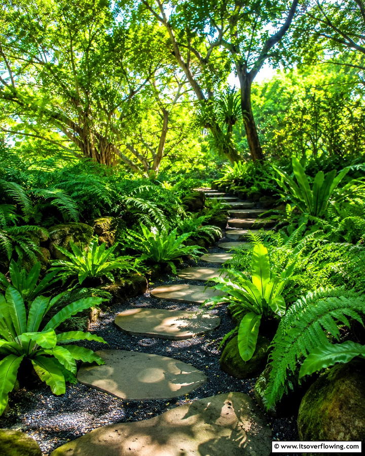 Exotic Fern Pathways - 25 Tropical Landscape Ideas for Your Outdoor Paradise