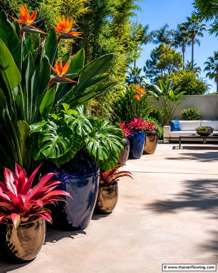 Exotic Potted Plants - 25 Tropical Patio Ideas for a Relaxing Outdoor Oasis