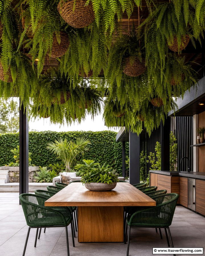 Ferns for Lush Greenery - 25 Outdoor Plants for Patio to Enhance Your Space