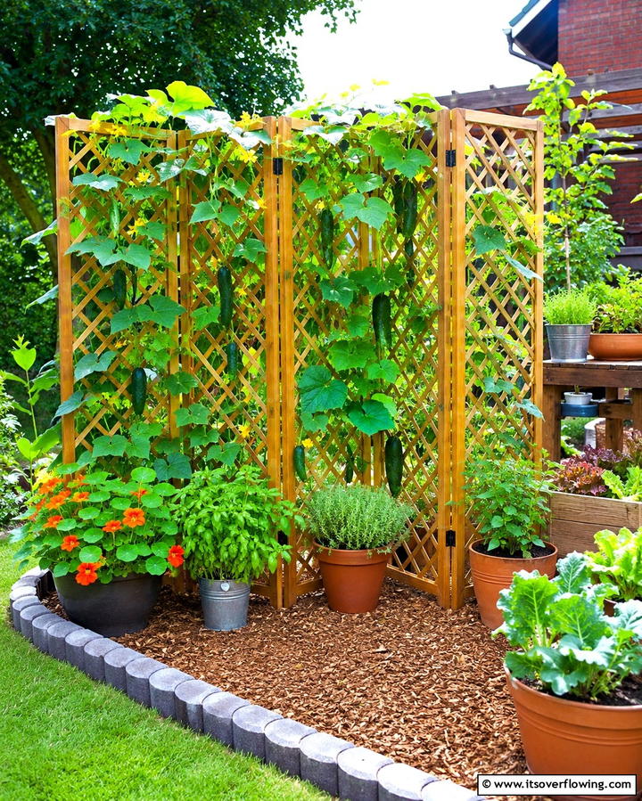 Folding Panel Trellis - 25 Cucumber Trellis Ideas for a Productive Garden