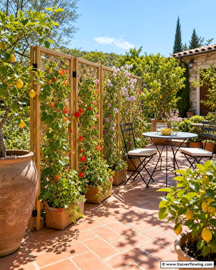 Folding Trellis Screens - 20 Trellis Ideas for Privacy in Your Outdoor Space