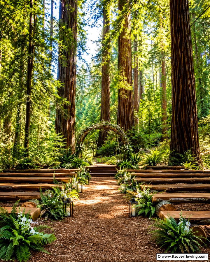 Forest Retreat Ceremony - 30 Unique Wedding Ceremony Ideas for Your Perfect Day