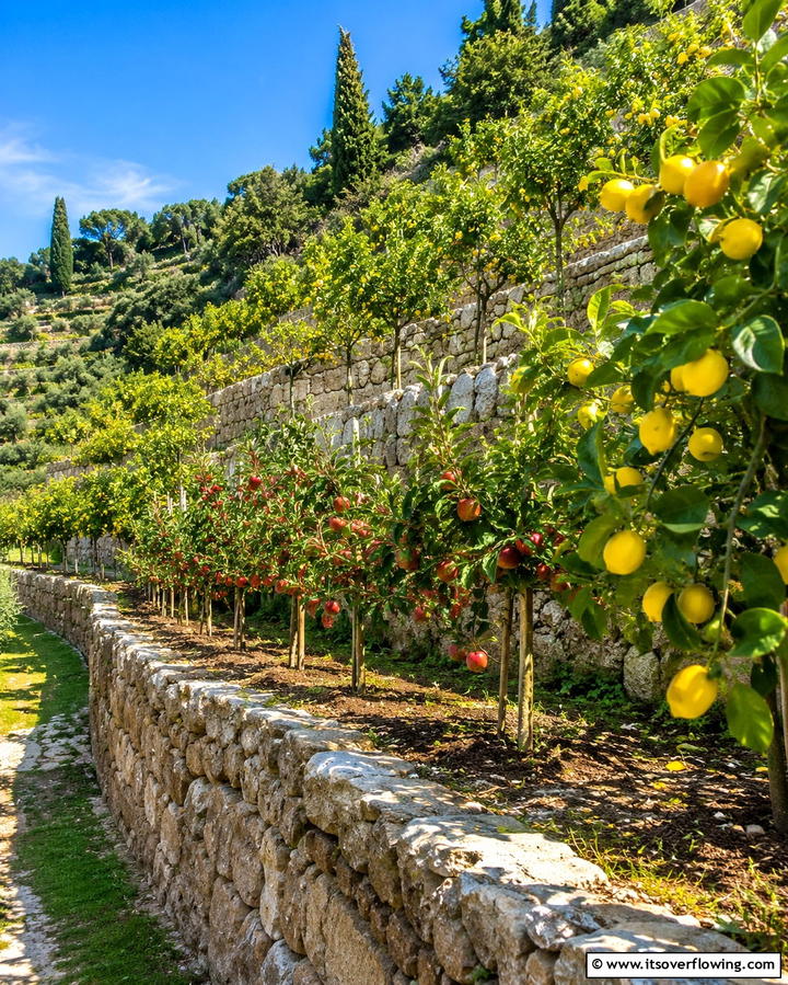 Fruit Tree Terraces - 25 Terraced Garden Ideas for Sloped Landscapes