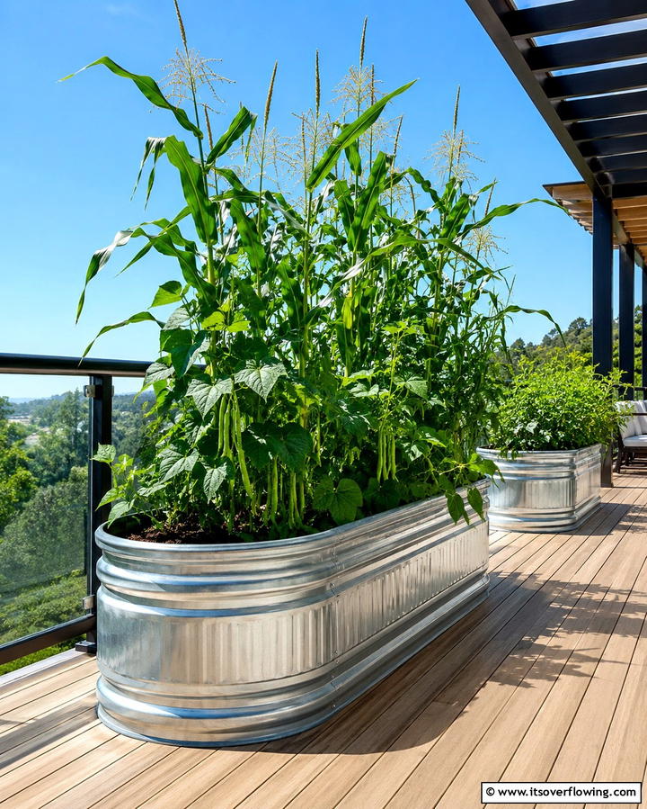 Galvanized Metal Trough Beds - 25 Inexpensive Raised Garden Bed Ideas for Your Yard