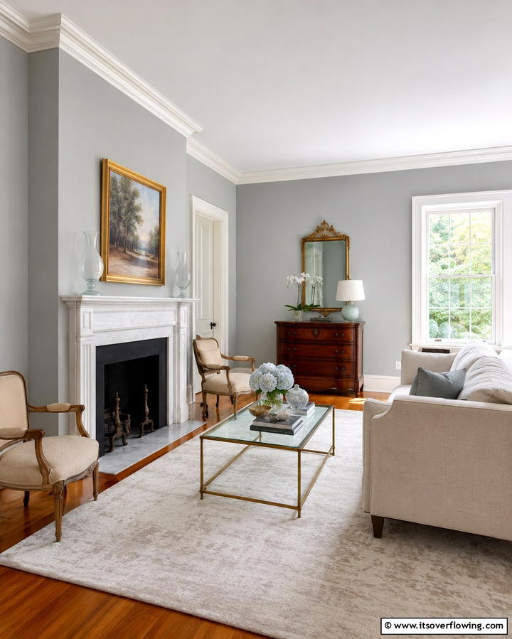 Gentle Cloud Gray - 30 Light Gray Paint Colors- Versatile Hues for Any Room