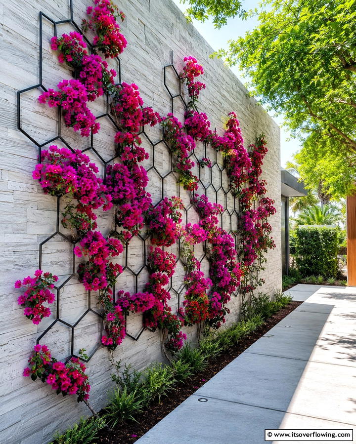 Geometric Trellis Design - 25 Trellis Ideas to Enhance Your Garden Aesthetics