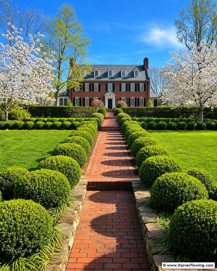 Globe Boxwood Timeless Spherical Appeal - 20 Front Yard Boxwood Shrubs Ideas for a Polished Look