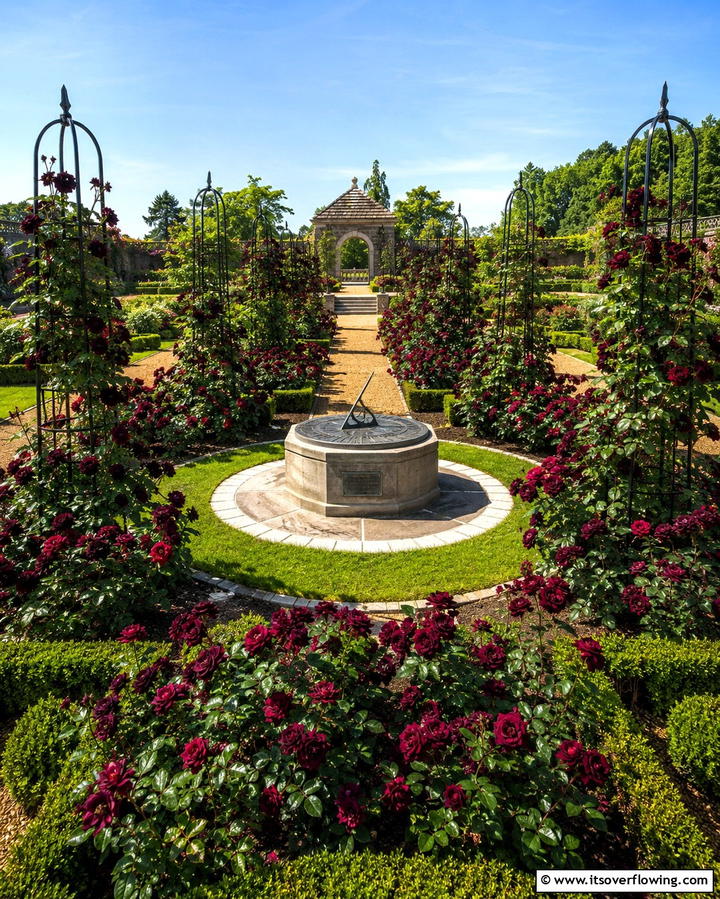 Gothic Rose Garden - 25 Gothic Garden Ideas for a Dark and Mysterious Oasis