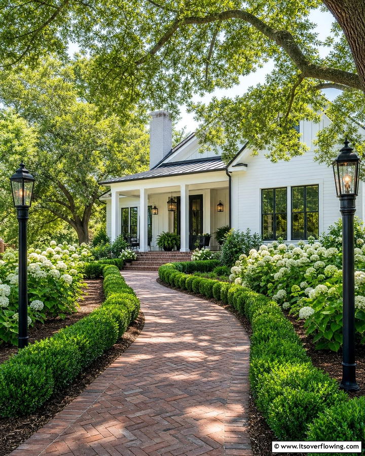 Green Beauty Boxwood - 20 Front Yard Boxwood Shrubs Ideas for a Polished Look