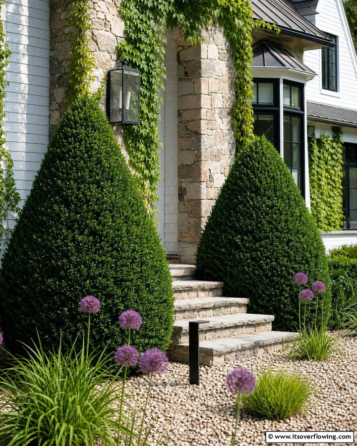Green Mountain Boxwood Sculptural Elegance - 20 Front Yard Boxwood Shrubs Ideas for a Polished Look