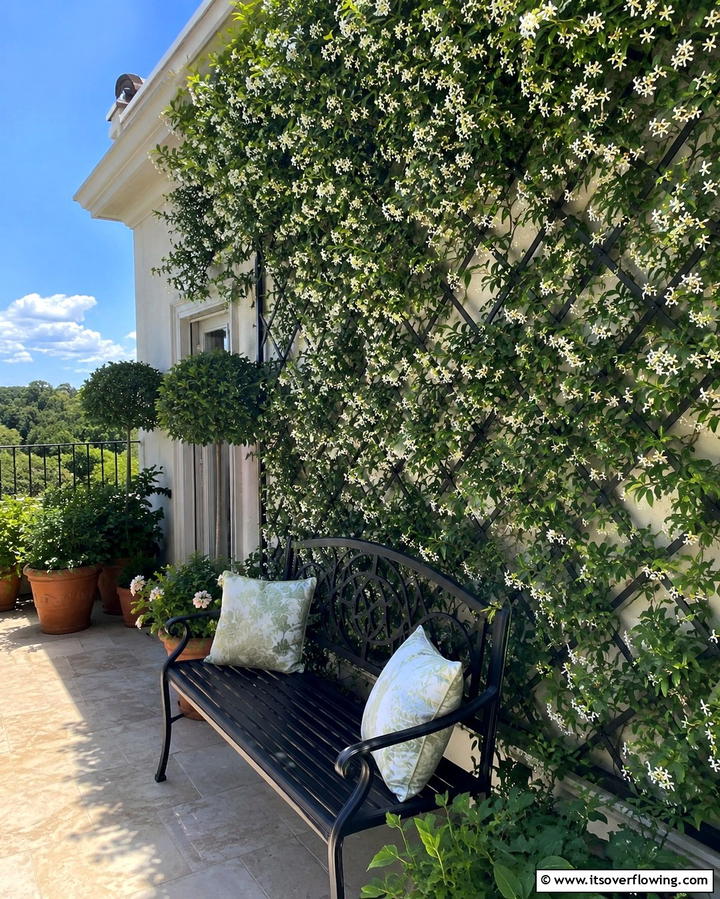 Green Trellis with Vines - 30 Balcony Privacy Ideas for Secluded Outdoor Spaces