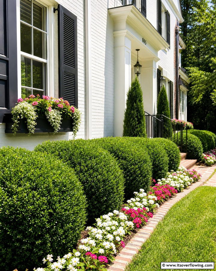 Green Velvet Boxwood Soft and Full - 20 Front Yard Boxwood Shrubs Ideas for a Polished Look