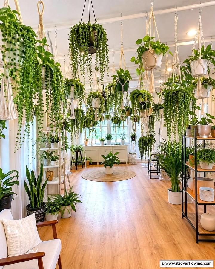 Hanging Garden Wonderland - 25 Greenhouse Room Ideas for a Plant Lover’s Paradise