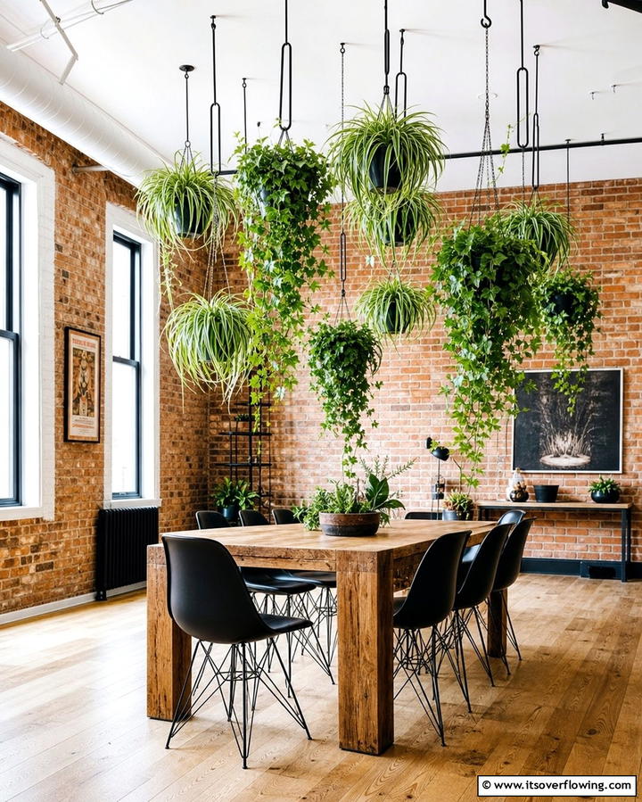Hanging Plant Displays - 25 Plant Room Ideas for a Green Oasis at Home