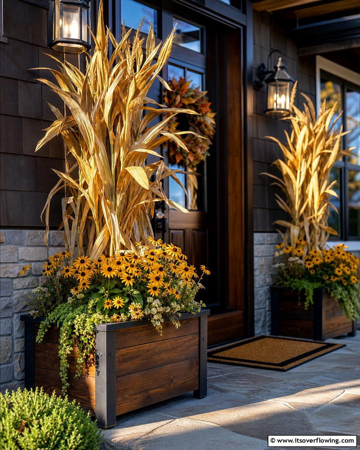 Harvest Theme with Corn Stalks and Black Eyed Susans - 20 Fall Flower Box Ideas for Seasonal Beauty