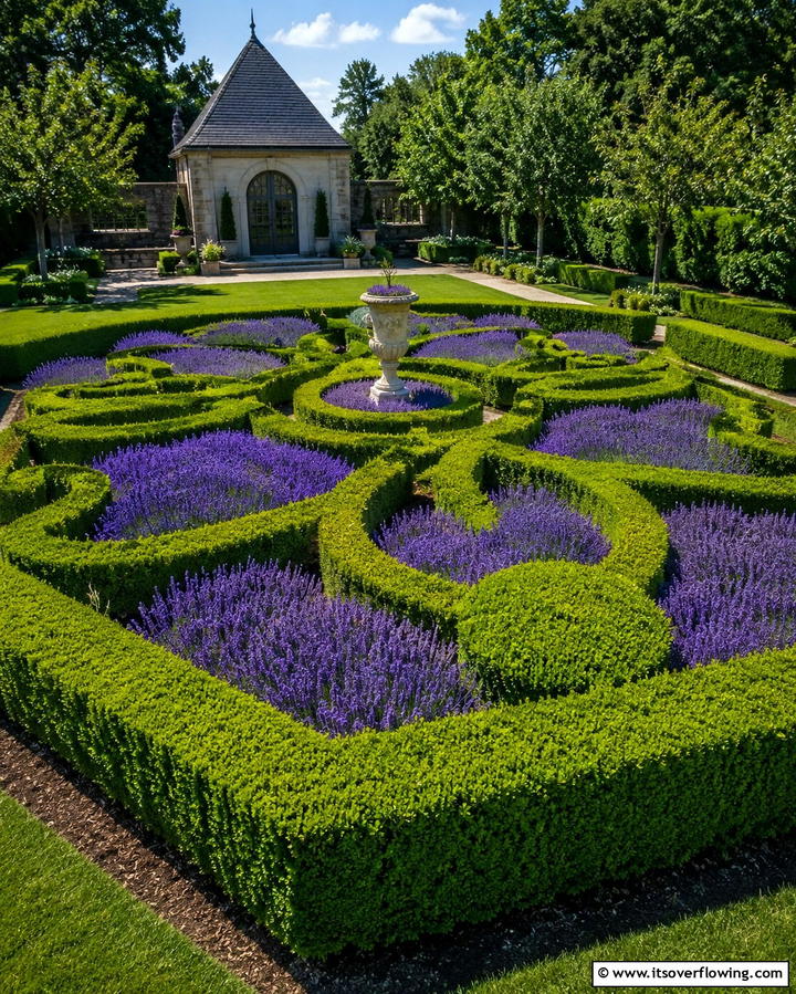 Hedge Borders for Living Boundaries - 25 Low Maintenance Garden Border Ideas for Easy Landscaping