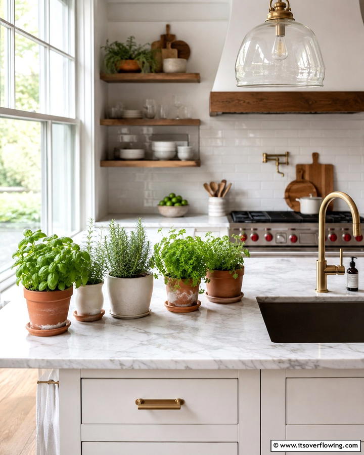Herb Garden in Pots - 25 Potted Plant Arrangement Ideas for Stylish Decor