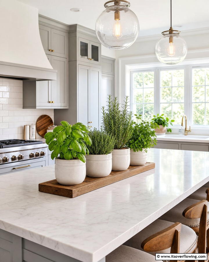Herb Garden in Pots - 20 Kitchen Island Centerpiece Ideas for a Stunning Look