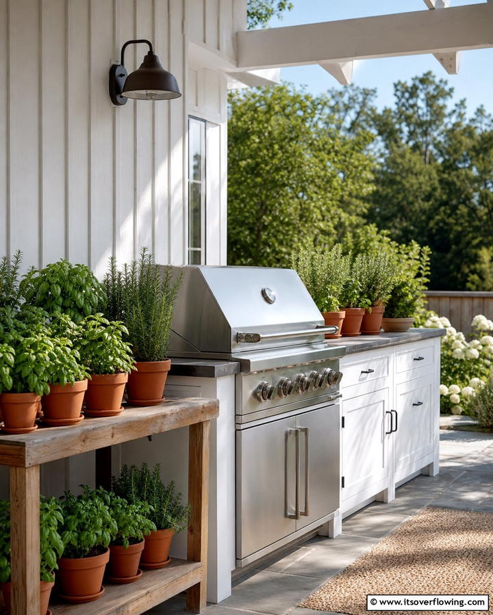 Herbs Functional and Fragrant Additions - 25 Outdoor Plants for Patio to Enhance Your Space