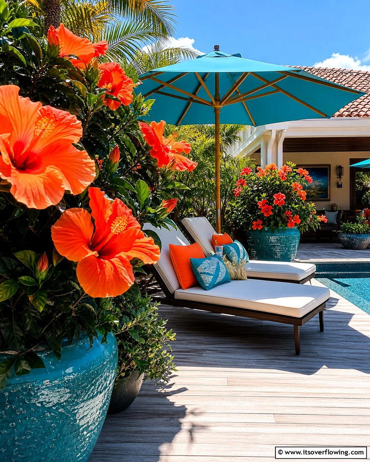 Hibiscus for Tropical Blooms - 25 Outdoor Plants for Patio to Enhance Your Space