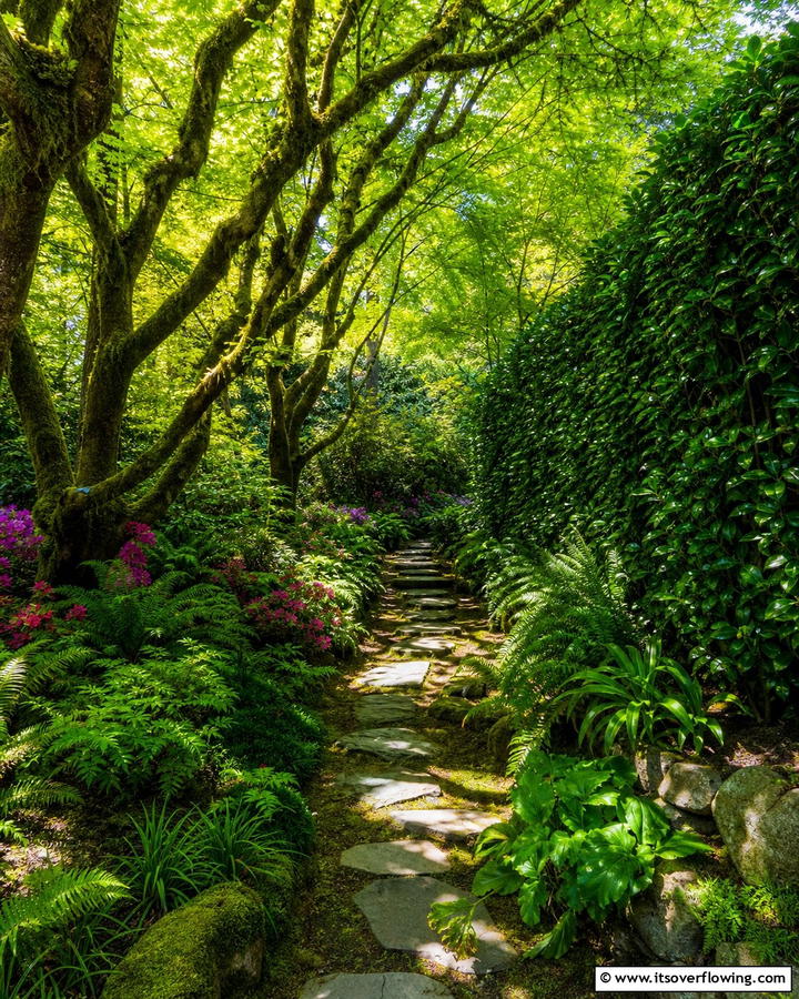 Hidden Pathway Haven - 21 Secret Garden Ideas to Create a Enchanting Outdoor Oasis