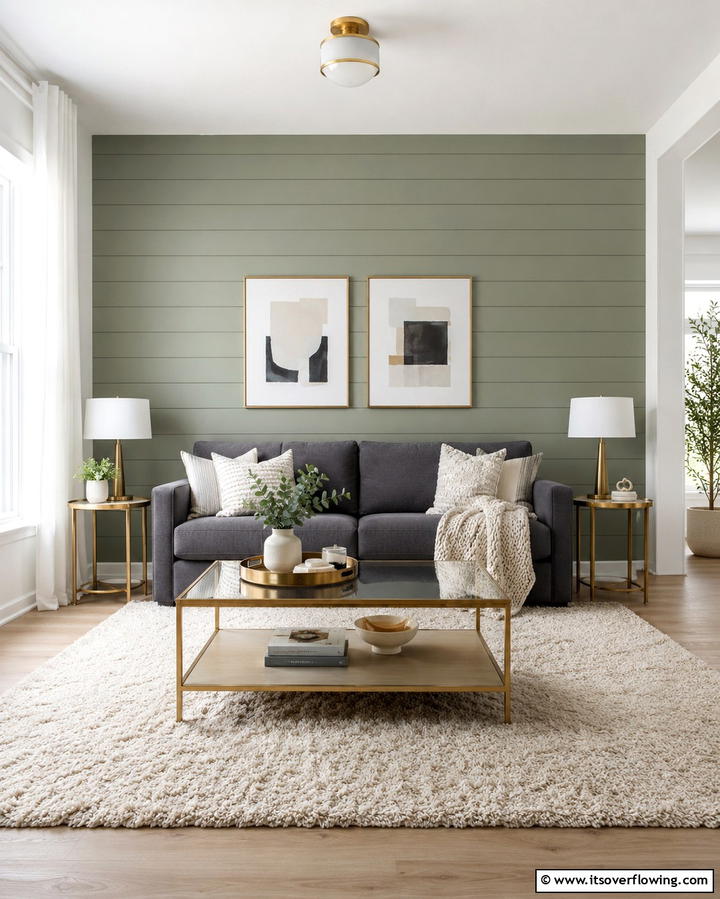 Horizontal Shiplap with Bold Colors - 25 Shiplap Living Room Ideas for a Rustic Charm