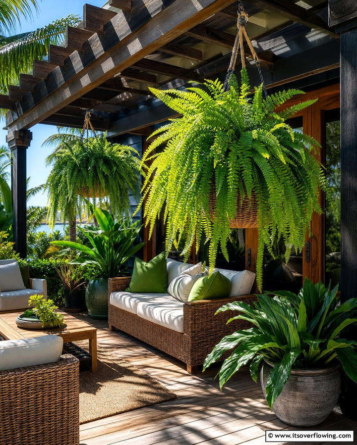 Incorporate Hanging Ferns for Elegance - 25 Deck Decorating Ideas With Plants for a Lush Outdoor Space