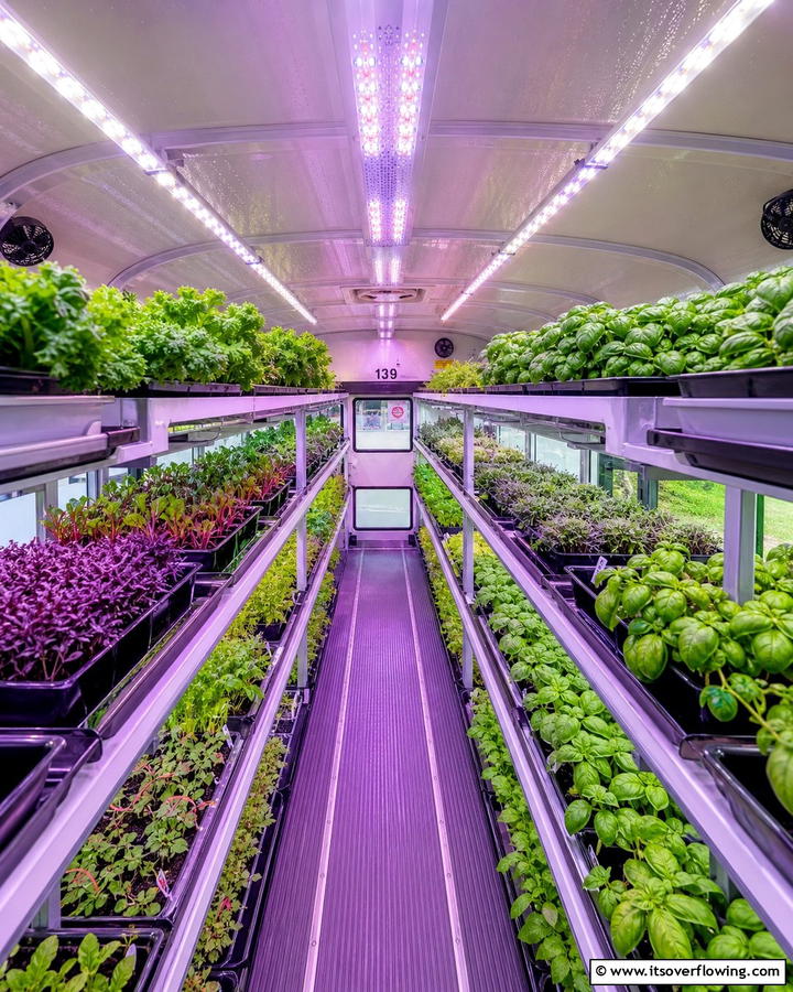 Incorporate LED Grow Lights for Artificial Lighting - 20 School Bus Greenhouse Ideas for Sustainable Living