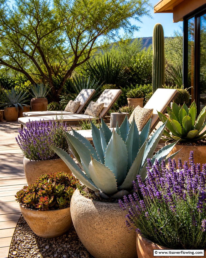 Incorporate Water Friendly Plants - 25 Deck Decorating Ideas With Plants for a Lush Outdoor Space