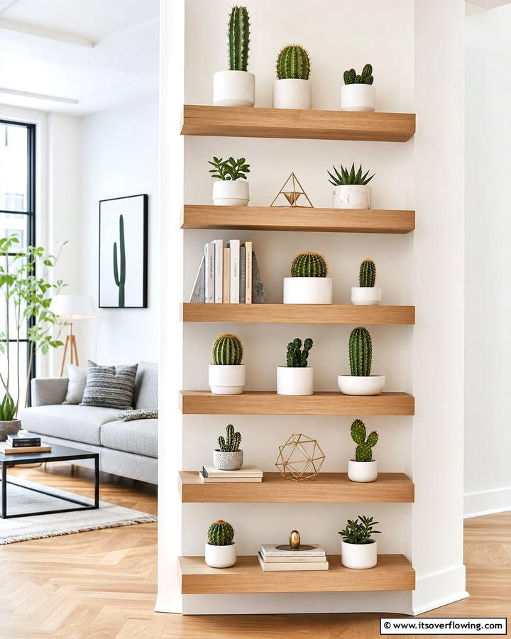 Indoor Cactus Shelf - 25 Stunning Cactus Garden Ideas for Your Home