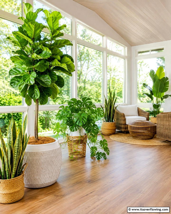 Indoor Greenery - 25 Organic Modern Interior Design Ideas for Your Home