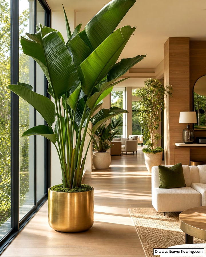Indoor Greenery and Planters - 25 Luxury Living Room Ideas for a Sophisticated Look