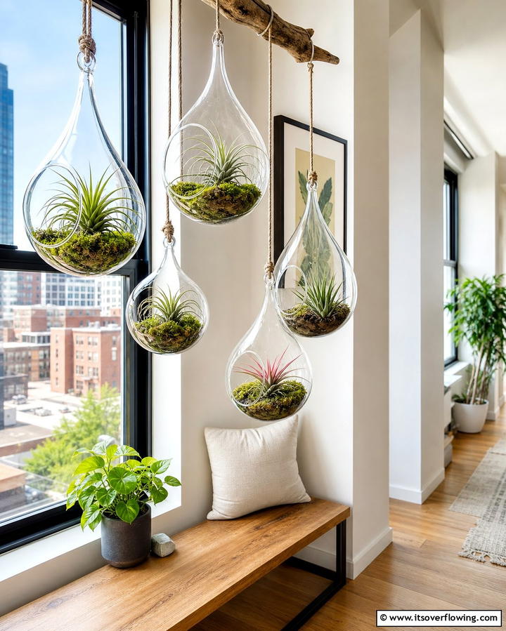 Indoor Hanging Glass Terrariums for Modern Flair - 25 Creative Indoor Garden Ideas to Brighten Your Home
