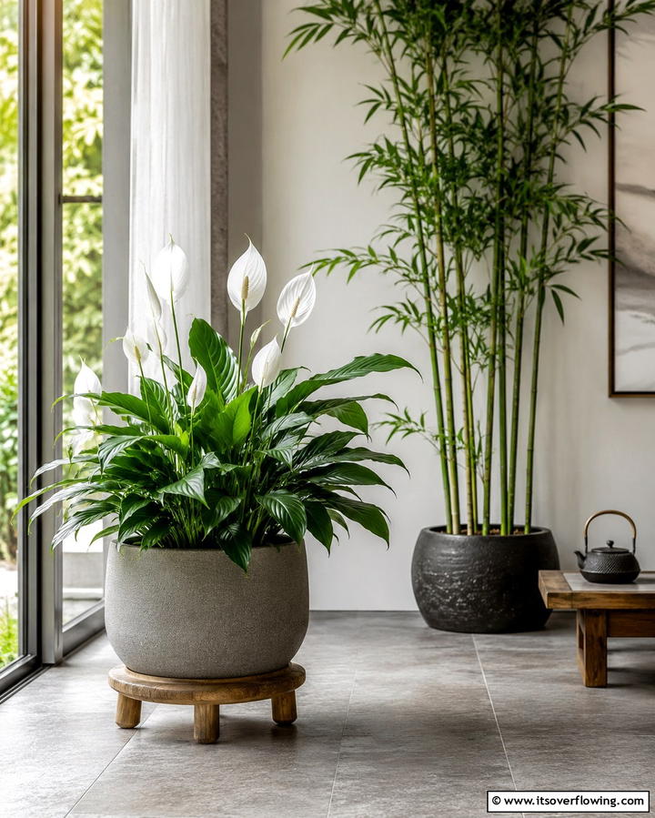 Indoor Plants for a Breath of Nature - 25 Japanese Bedroom Design Ideas for Minimalism