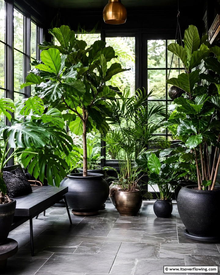 Indoor Plants in Dark Pots - 25 Gothic Boho Decor Ideas for a Unique and Eclectic Style