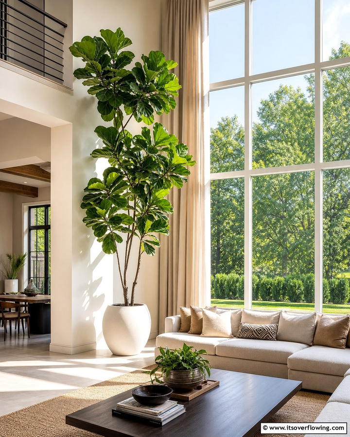 Indoor Tree Corners for a Dramatic Effect - 25 Creative Indoor Garden Ideas to Brighten Your Home