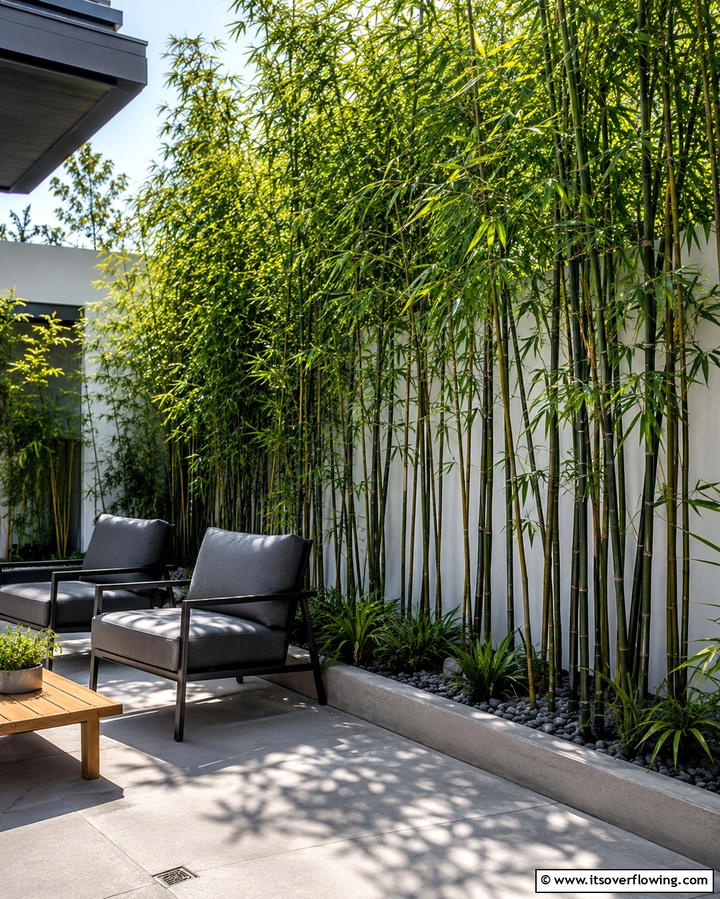 Install Bamboo Screens - 30 Cheap Ways to Block Neighbors View in Your Garden
