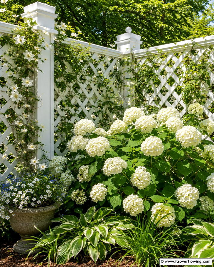 Intricate Lattice Wood Corner Fence - 30 Innovative Corner Fence Solutions for Yard Boundaries