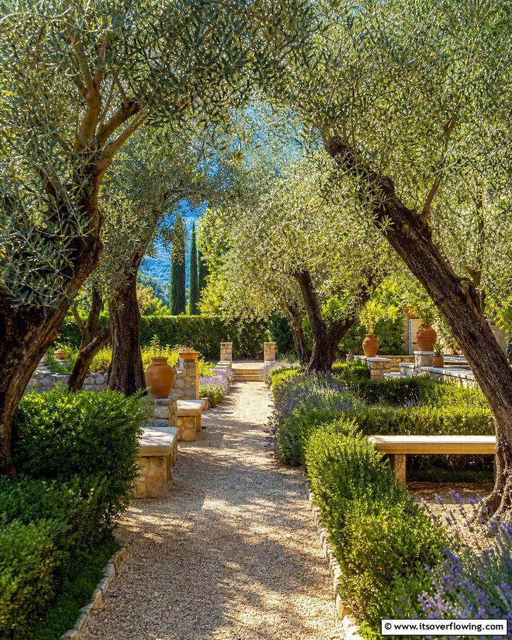 Italian Garden Featuring Olive Trees - 30 Italian Garden Design Ideas for Timeless Elegance