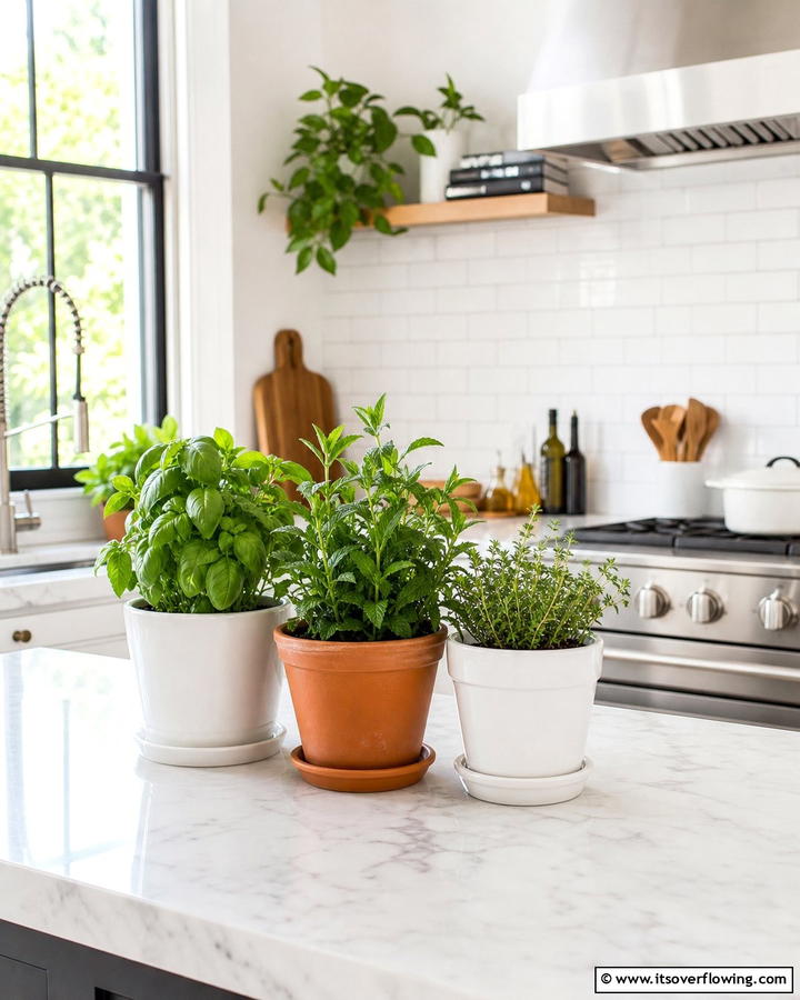 Kitchen Countertop Herb Garden - 21 Herb Garden Ideas to Cultivate Fresh Flavors at Home