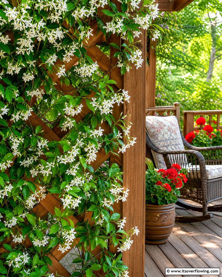 Lattice Panels with Climbing Plants - 25 Outdoor Privacy Screen Ideas for Secluded Spaces