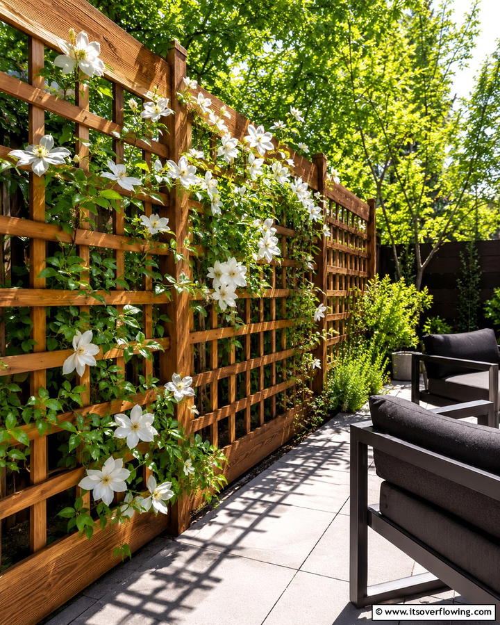 Lattice Screen Fence - 30 Backyard Privacy Ideas for Creating a Secluded Outdoor Oasis