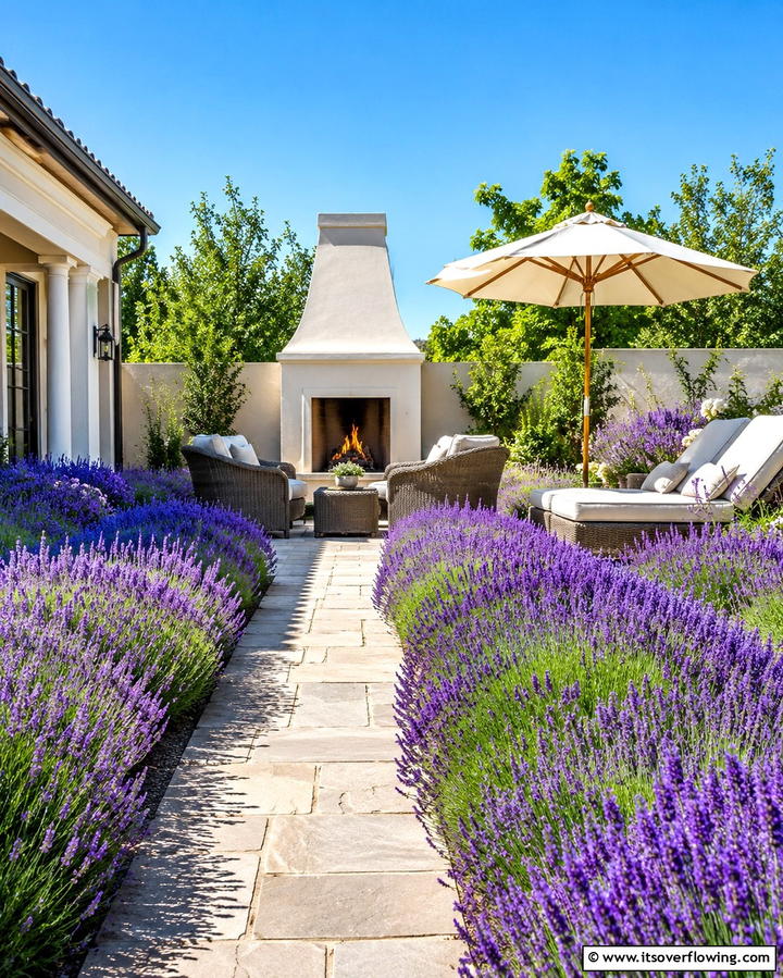 Lavender for Fragrance - 25 Patio Plants to Beautify Your Outdoor Living Space