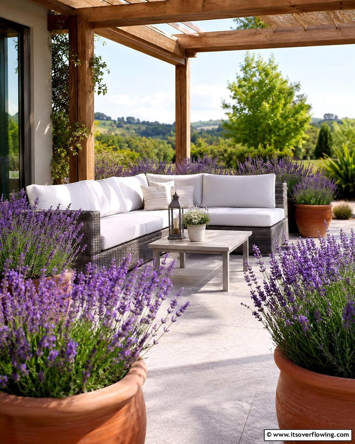 Lavender for a Fragrant Escape - 25 Patio Plants to Beautify Your Outdoor Living Space